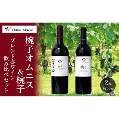 ふるさと納税 上田市 赤ワイン 飲み比べセット 750ml 2本セット[54041116]