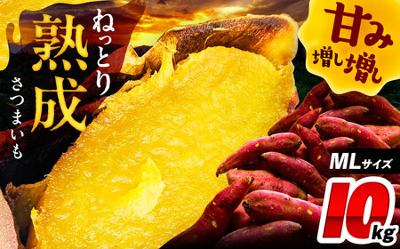 さつまいも 10㎏ / 焼き芋 焼きいも 紅はるか シルクスイート あまはづき 野菜 愛西市 / 川口農園[AEDH002]