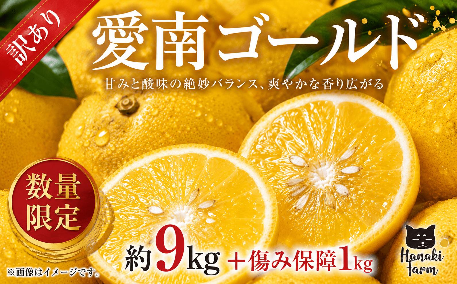 
                  訳あり 愛南ゴールド 約9kg+1kg傷み保障 合計10kg 河内晩柑 サイズミックス みかん 蜜柑 柑橘 果物 フルーツ 傷 シミ 愛南ゴールド アイス ゼリー ジュース 国産 愛媛 愛南町 はなき農園
                