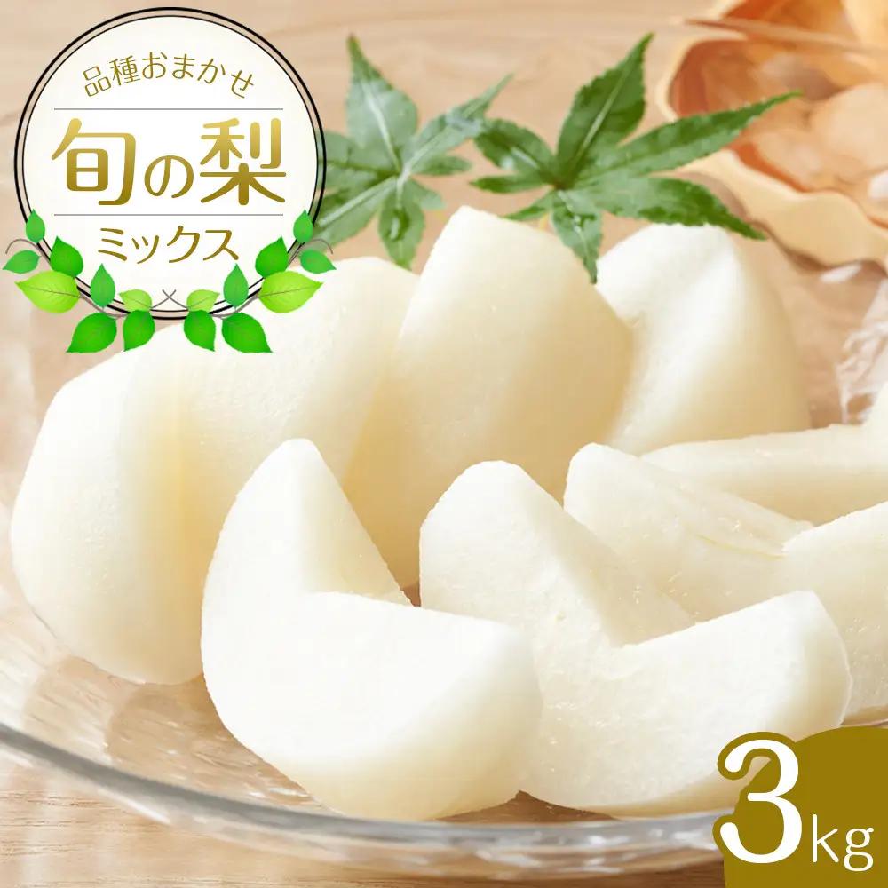 【品種はおまかせ】旬の 梨 ミックスセット 3kg ※2026年8月下旬～12月下旬頃に順次発送予定  梨