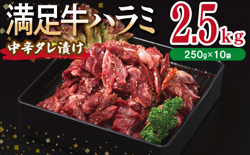 099H3709 【満足牛ハラミ】中辛タレ漬け 合計2.5kg 【味付け ハラミ 小分け 焼くだけ 簡単調理 BBQ 牛肉 250g×10P】