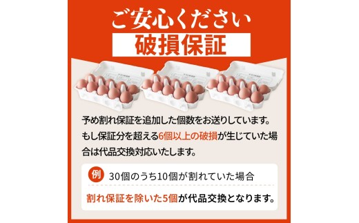 【12ヶ月定期便】卵 純国産鶏 朝どり 厳選卵 30個 割れ保証付き ｜こだわり 高評価 ブランド卵 リピート 希少 朝どり卵 即日発送 プレミアム ファン リピーター多い 濃厚 贈答 解放鶏舎 のびのび 最高の環境 おいしい水 日常 卵かけご飯 栄養価高い飼料 国産鶏 日本古来 こだわり 鮮度 安全 循環農業 群馬県 前橋市