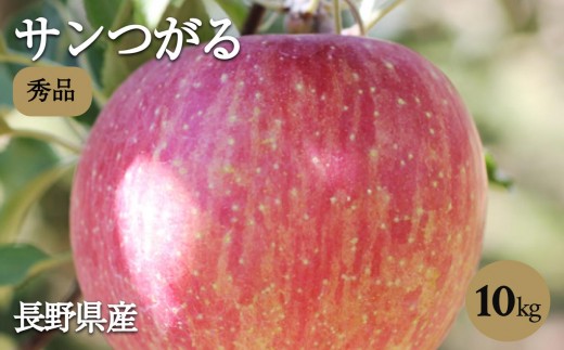りんご の 一番手! 長野県産 りんご ( サンつがる ) 約10kg 秀品 〈2026年9月上旬～9月中旬発送〉| 山下屋荘介 果物 くだもの フルーツ りんご サンつがる 林檎 リンゴ 長野県 信州 南信州 飯田市