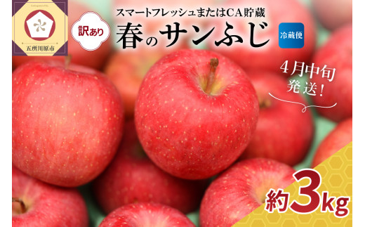 【2026年4月中旬発送】【訳あり】サンふじ 約3kg【スマートフレッシュ貯蔵またはCA貯蔵・クール便】
