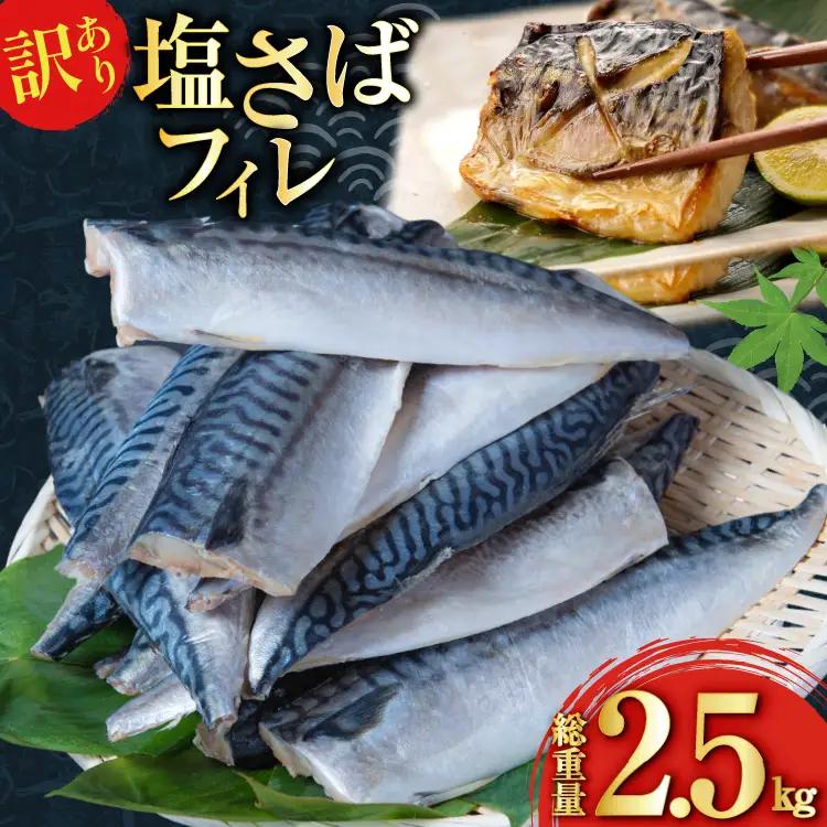 訳あり 減塩 塩サバ フィレ Sサイズ 総重量 2.5kg 20565959