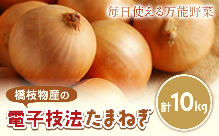 
            十勝 電子技法栽培たまねぎ 約10kg 野菜 《10月上旬から順次出荷》橋枝物産 北海道 浦幌町
          