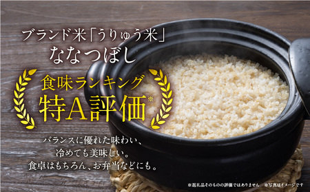 【定期便全6回】令和5年産 うりゅう米 ななつぼし 玄米5kg（5kg×1袋）毎月1回お届け