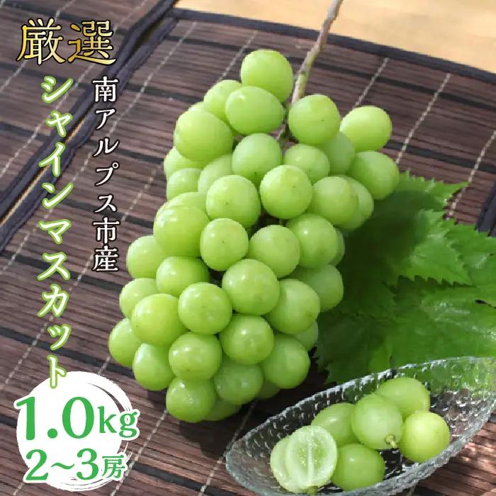 ＜2026年発送＞厳選! シャインマスカット 1.0kｇ 2～3房 南アルプス市産 | シャインマスカット