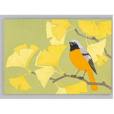 ふるさと納税 宇治市 日本画をたのしもう　ジョウビタキ編　筆なし |  | 01