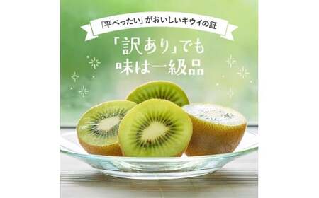 わけあり キウイ 10kg+250g（傷み補償分）扁平果 / 和歌山 家庭用 フルーツ 果物 くだもの ※2026年11月中旬より2027年4月下旬頃順次発送予定 ※北海道・沖縄・離島配送不可 【ik