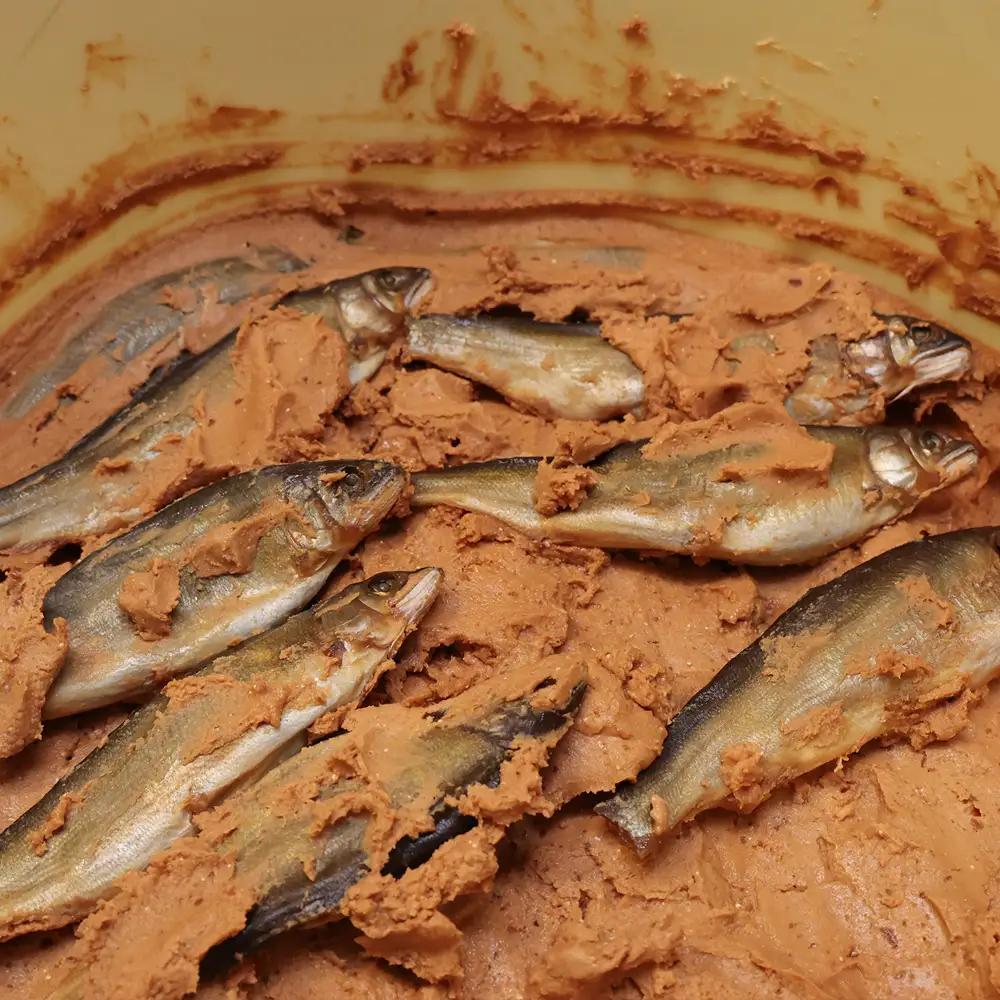 【下呂肴魚】子持ち鮎の粕味噌漬け（1匹×5袋　計5匹）冷凍発送 大人の贅沢 おつまみ 酒の肴 アユ あゆ 【料理茶屋浜木綿】【81-4】