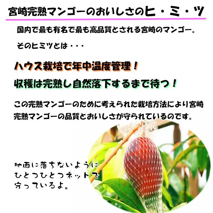 マンゴー 宮崎 完熟 特秀 4L 1玉 マンゴー[約600g 化粧箱入り]