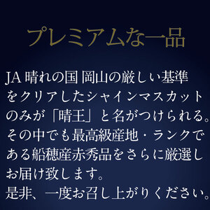 【定期便 全2回】ぶどう 2026年 先行予約 9月・10月発送 高級品 シャインマスカット 晴王 2房 合計約1.2kg  岡山県産 シャインマスカット