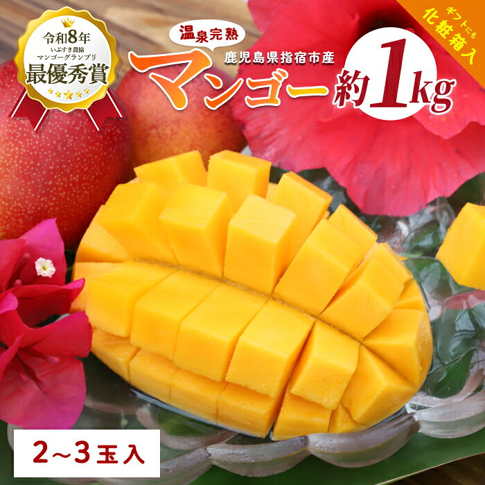 【ふるさと納税】 ＜2026年 発送＞指宿産 温泉完熟マンゴー約1kg(2〜3玉) 鹿児島 指宿市 マンゴー 果物 くだもの フルーツ スムージー 完熟 夏 旬 いぶすき【トロピカルフルーツ&プランツ】