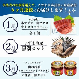 【定期便 6回】室戸まるごと定期便 こだわり産品コース かつお 本マグロ 干物 ハンバーグ zzc2025