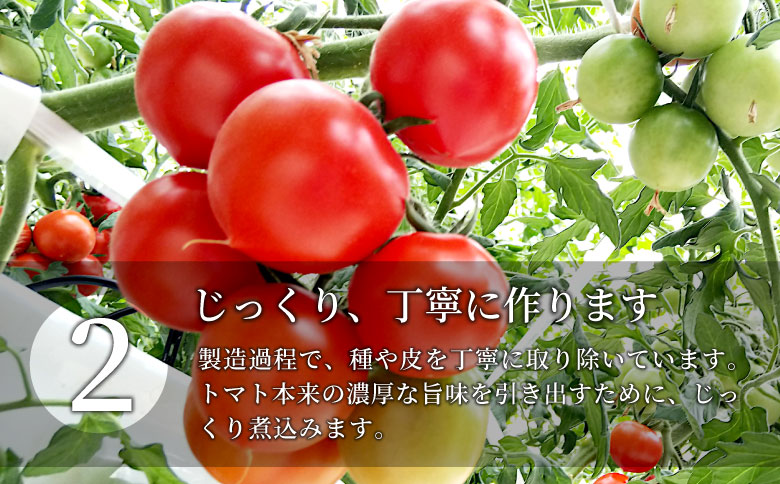 大好評につき８月発送★金賞受賞！水・砂糖・塩・保存料不使用！トマト農家さんの無添加トマトジュース 飲み比べセット 小ビン12本
