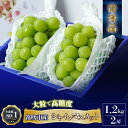 【ふるさと納税】＜25年発送先行予約＞大房『シャインマスカット』 山梨県産ぶどう 青秀品 2房 計約1.2kg 化粧箱入 ※冷蔵 JAふえふき ふるさと納税 シャインマスカット 笛吹市 国産 人気 期間限定 ぶどう ブドウ 葡萄 ギフト プレゼント 旬 果物 フルーツ 山梨県 203-009