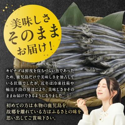 ふるさと納税 南九州市 鹿児島県産キビナゴ丸ごと冷凍1.5kg 008-65 |  | 02