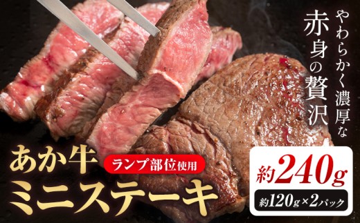 あか牛ミニステーキ ランプ部位使用 約240g 合同会社たべたせいか《30日以内に出荷予定(土日祝除く)》熊本県 菊池市 肉 牛肉 お肉 和牛 あか牛 ステーキ ミニステーキ 個包装 小分け 熊本県産 冷凍 送料無料