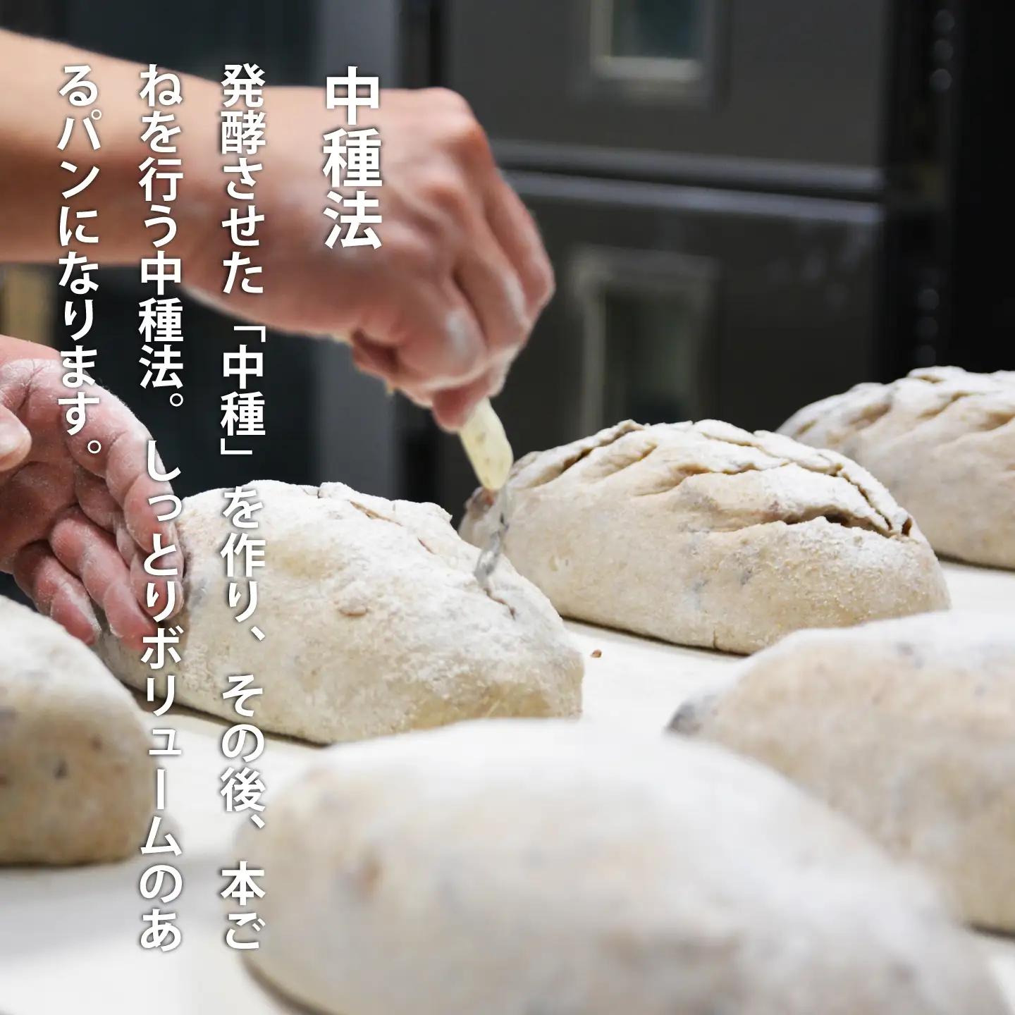 冷凍パン 森のパンやさん凜香 「りんかスペシャル」（４個） ライ麦パン 酵母パン 全粒粉パン 北海道 当麻町  朝食 食事パン グルメ【E-002】