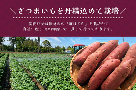 【期間限定】 関商店 焼き芋 紅はるか 1.5kg 国産 茨城県産 砂糖不使用 焼き芋 やきいも 焼芋 焼きいも べにはるか ベニハルカ 甘い 柔らかい 安心 安全 品質 食味 おやつ 62-G ＜2