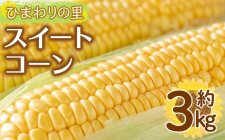 ＜先行予約！2027年6月上旬以降順次発送予定＞イエローコーン(約3kg) 国産 トウモロコシ とうもろこし 冷蔵便 スイートコーン 【man113】【Aglio nero】