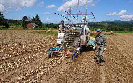 北海道 蘭越産 じゃがいも 食べ比べ 5種類セット 合計約8kg （各800g×2袋）【2024年11月下旬～2025年4月上旬発送予定】