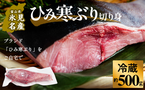 【先行予約】ひみ寒ぶり約500g（切り身）＜冷蔵でお届け＞  富山県 氷見市 ひみ寒ぶり 寒鰤 ブリ 期間限定 切り身 ブロック