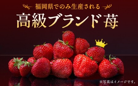 いちご 「あまおう」 約270g×8パック 計約2160g 苺 イチゴ 果物 フルーツ 【2027年2月上旬～2027年3月下旬発送】