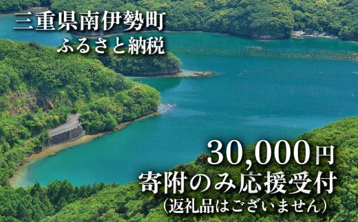 【返礼品なし】 三重県 南伊勢町 応援寄附 30,000円