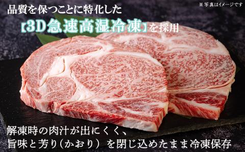 宮崎牛 A4 赤身 焼肉 セット 500g ステーキソース付き ギフト箱入り [南海グリル 宮崎県 美郷町 31bg0011] ブランド牛 冷凍 送料無料 国産 牛 肉 南海グリル 贈り物 プレゼント