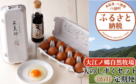 Y990 【3か月定期便】平飼い天美卵20個＆たまごかけご飯専用醤油「天のしずく」セット〈大江ノ郷自然牧場より直送〉