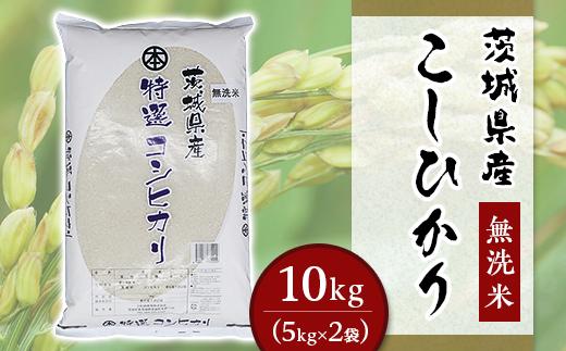 こしひかり 無洗米 10kg 小松崎商事 茨城県産 令和6年 252