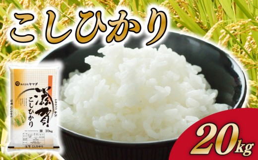 コシヒカリ 20kg 白米 こしひかり