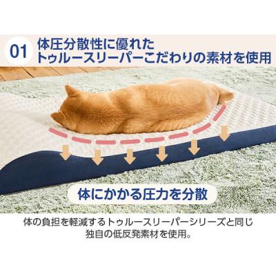 ふるさと納税 稲美町 トゥルースリーパー　ペットベッド |  | 01