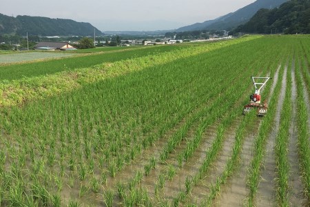 米 令和5年 つぶら野米 コシヒカリ 八分搗き 3kg×2袋 計6kg / つぶら野米 / 山梨県 韮崎市 [20741631] こめ コメ お米 精米 こしひかり