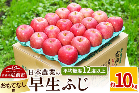 りんご 【先行受付】平均糖度12度以上！ 早生ふじ 約10kg おもてなし用
