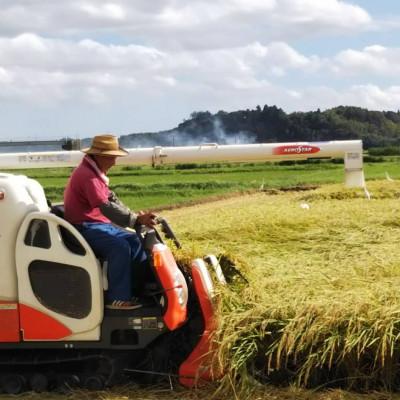 ふるさと納税 多古町 多古米グランプリ常連　佐藤さんのコシヒカリ【玄米】10kg |  | 02