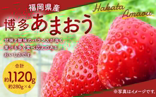 福岡県産 博多 あまおう 約1.12kg（約280g×4パック）【2026年1月下旬～3月下旬発送予定】 ※北海道・沖縄・離島配送不可