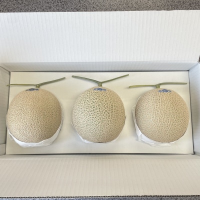 静岡県磐田市 クラウンメロン 白等級 約1.3kg×3個【配送不可地域：離島・北海道・沖縄県】