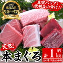 【ふるさと納税】天然本マグロの大トロ・中トロ・赤身(合計約1kg・およそ10人前) 刺身、まぐろ丼などお楽しみください！まぐろ 本まぐろ 鮪 魚介 海鮮 大トロ 中トロ 海鮮丼【海鮮まぐろ家】