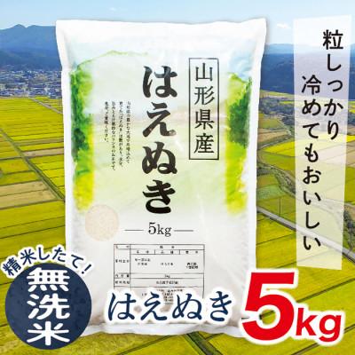 ふるさと納税 最上町 【無洗米】令和7年産山形県産はえぬき5kg