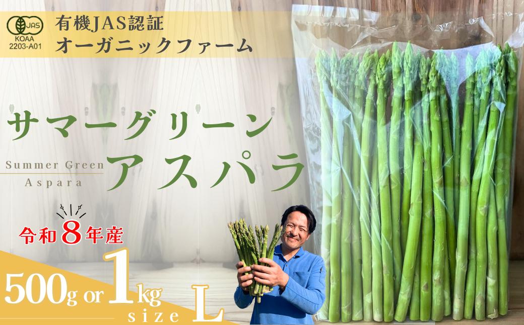 
                  【先行予約】オーガニック サマーグリーンアスパラガス  L 500g or 1kg【オーガニックアスパラ 有機JAS認証 有機栽培 サマーグリーンアスパラガス アスパラガス 夏アスパラガス Lサイズ 新鮮野菜 産地直送 500g 1kg 自然栽培 循環型農法  甘いアスパラガス 香り豊か 野菜ギフト 夏野菜 旬の野菜 アスパラギン酸 疲労回復 お取り寄せ野菜 】
                