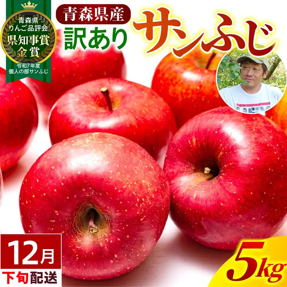 【2026年12月下旬発送】【訳あり】 りんご 約5kg 青森県産 サンふじ 家庭用 りんご
