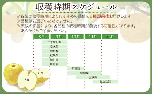 【2026年先行予約】訳あり 鳥取県産 旬の梨セット 約3kg (3~10玉) 高間商店 《2026年8月下旬-12月上旬頃出荷予定》鳥取県 八頭町 梨 なし 果物 フルーツ 幸水 豊水 秋栄梨 秋甘