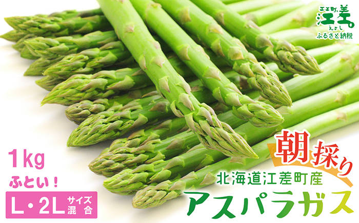 【夏芽 予約受付 6月中旬～順次出荷】2025年 北海道江差町産 アスパラガス【L～2Lサイズ】 1kg　約20本　太い！ 甘い！ ジューシー！　朝採り　農家直送　新鮮　鮮度保持　北海道　旬野菜　グリーンアスパラ　アスパラ　ギフト　贈答