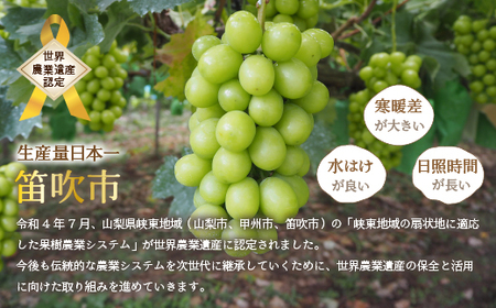 ＜2024年先行予約＞厳選！山梨県笛吹市産 シャインマスカット 約2.0kg（3～4房） 156-001