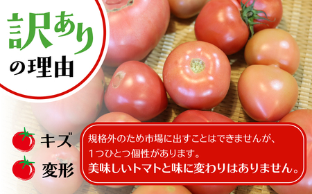 《2025年先行予約》【訳あり】飛騨トマト　約1.8kg 6月以降順次発送 産地直送 トマト 夏野菜 野菜 5000円 飛騨市
