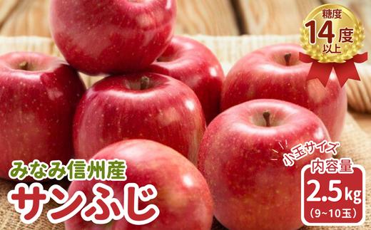 JA34-25A りんご サンふじ（小玉） 約2.5kg / 2025年11月下旬～12月上旬ごろ配送予定 // 長野県 南信州 贈答 ギフト お歳暮 ふじ フジ さんふじ 新鮮 林檎 リンゴ サンフジ