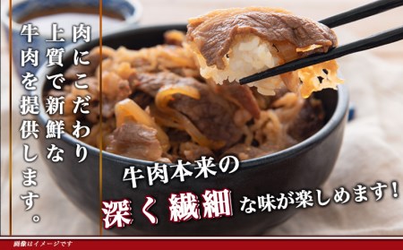 宮崎牛こま切り落とし1kg_18-4207_(都城市) 牛小間切落とし肉 (500g×2パック/計1キロ) 旨味たっぷり 赤身と甘い脂がバランスよく混ざった牛切り落とし肉 炒め物/煮込み料理にも
